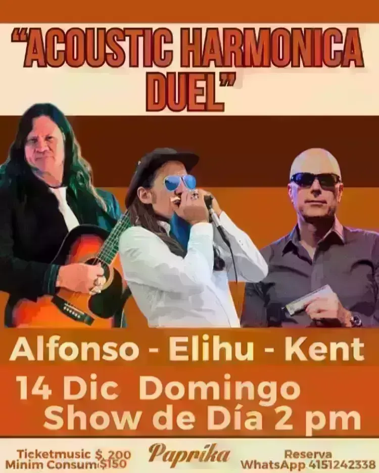 Acoustic Harmonica Duel