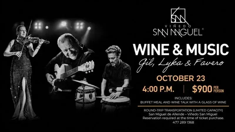 Wine & Live Music Session at Viñedo San Miguel