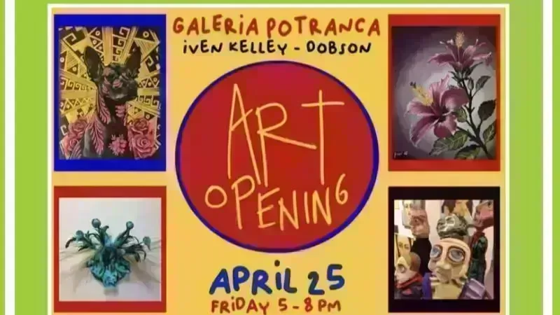 Art Opening at Galería Potranca