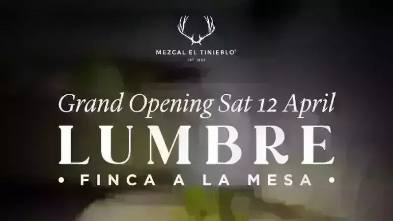 Lumbre - Grand Opening
