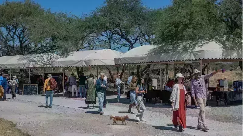 Gourmet Farmer's Market Reopening