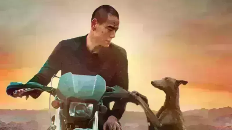 Cine Bacco - Black Dog