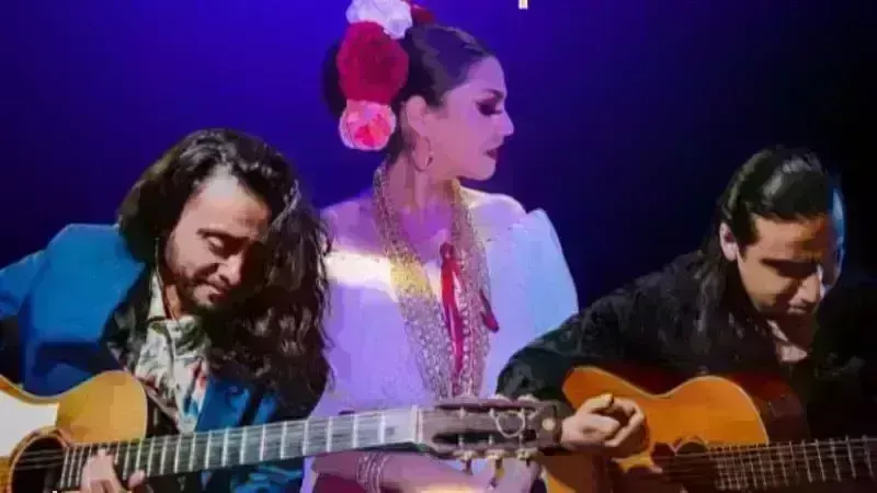 Media Luna and Sulvey Special Show