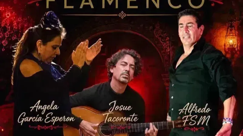 Tablao Flamenco – Una noche en Paprika
