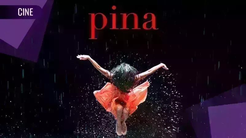 2 Masterpieces by Werner Herzog and Wim Wenders: PINA