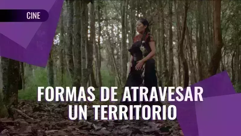 Cine Club en Cartelera: Formas de Atravesar un Territorio