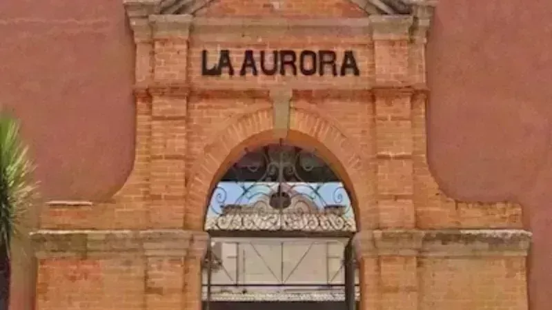 Inauguración: Exposición de Artistas Franceses