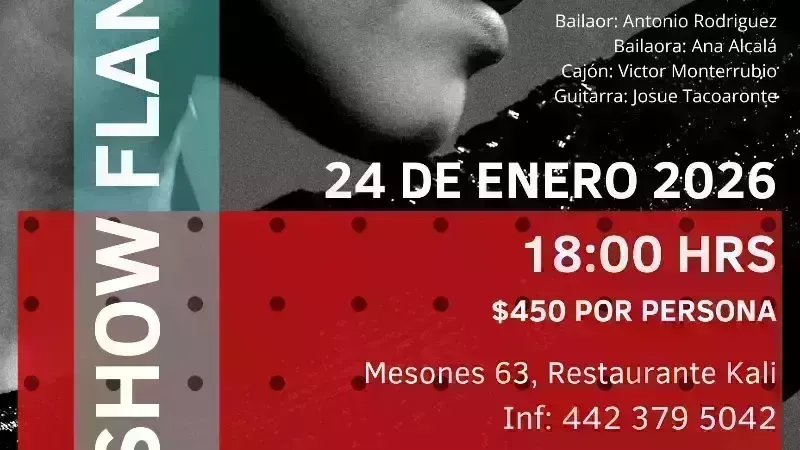 Templanza,  Show Flamenco