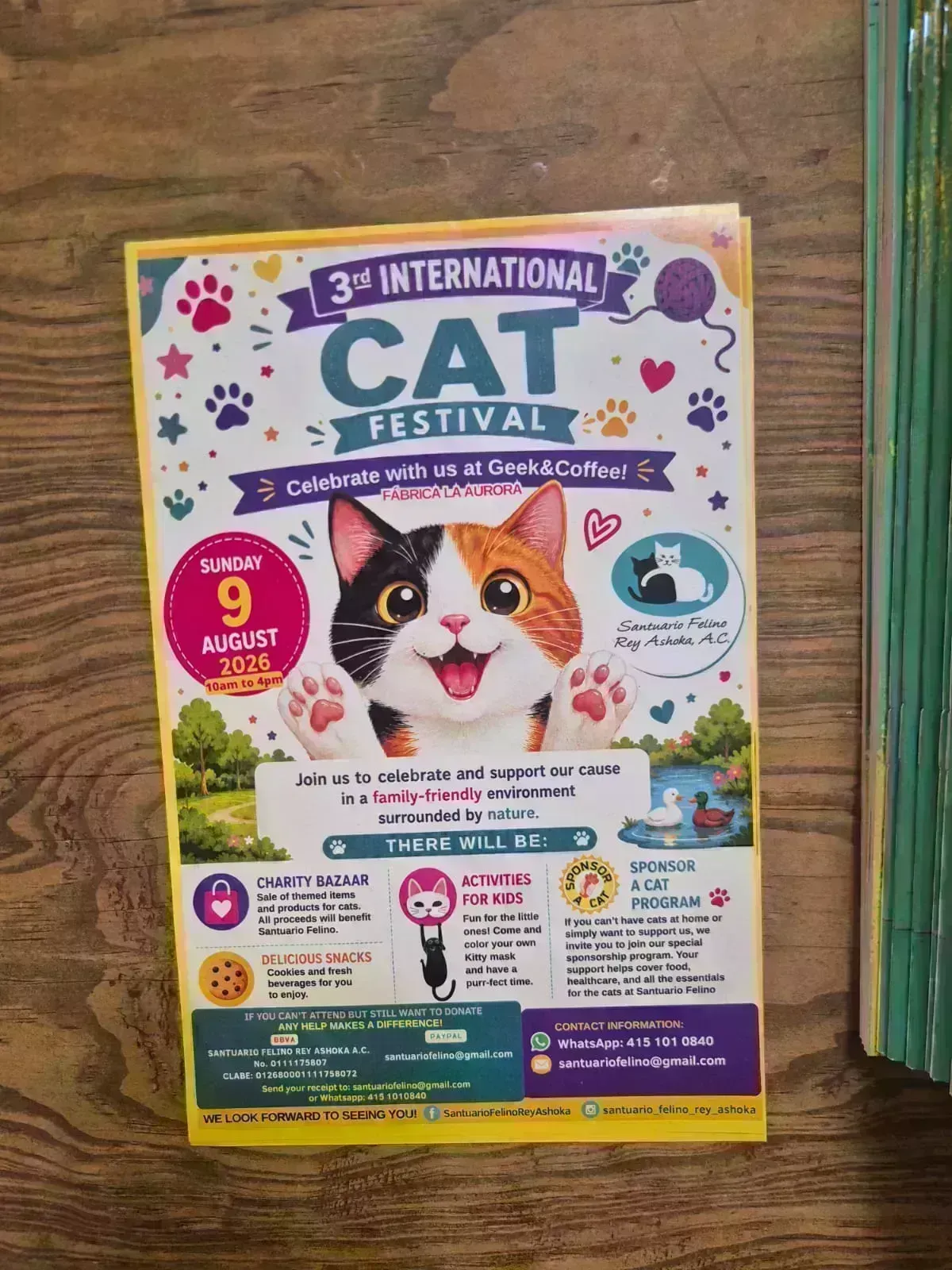 3rd International Cat Festival