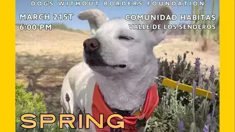 Musical Fundraiser - Dogs Without Borders