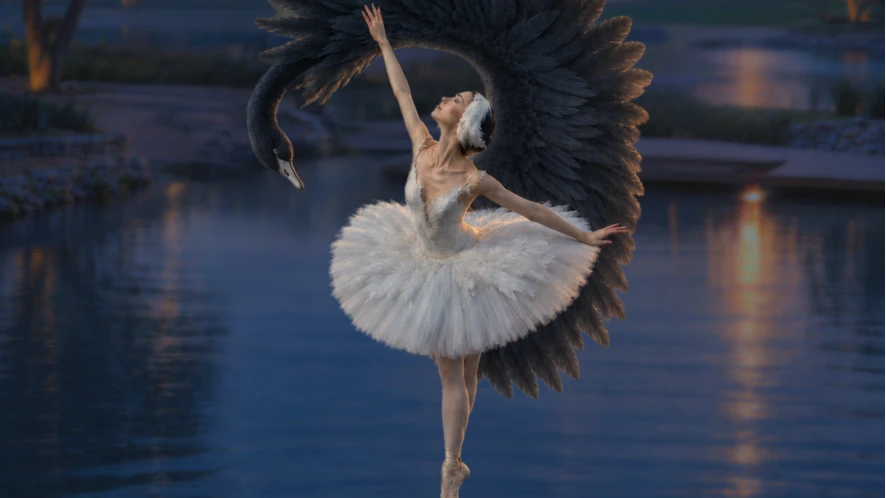 Swan Lake at the Lake