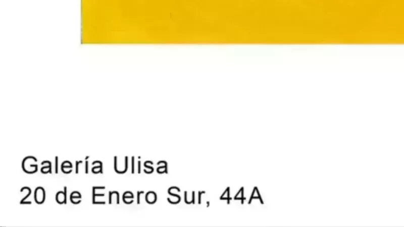 Art Exhibition Opening "Con Permiso" at Galería Ulisa