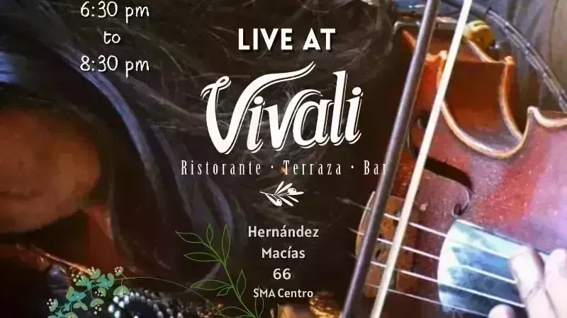 David Mendoza Live at Vivali Ristorante Bar