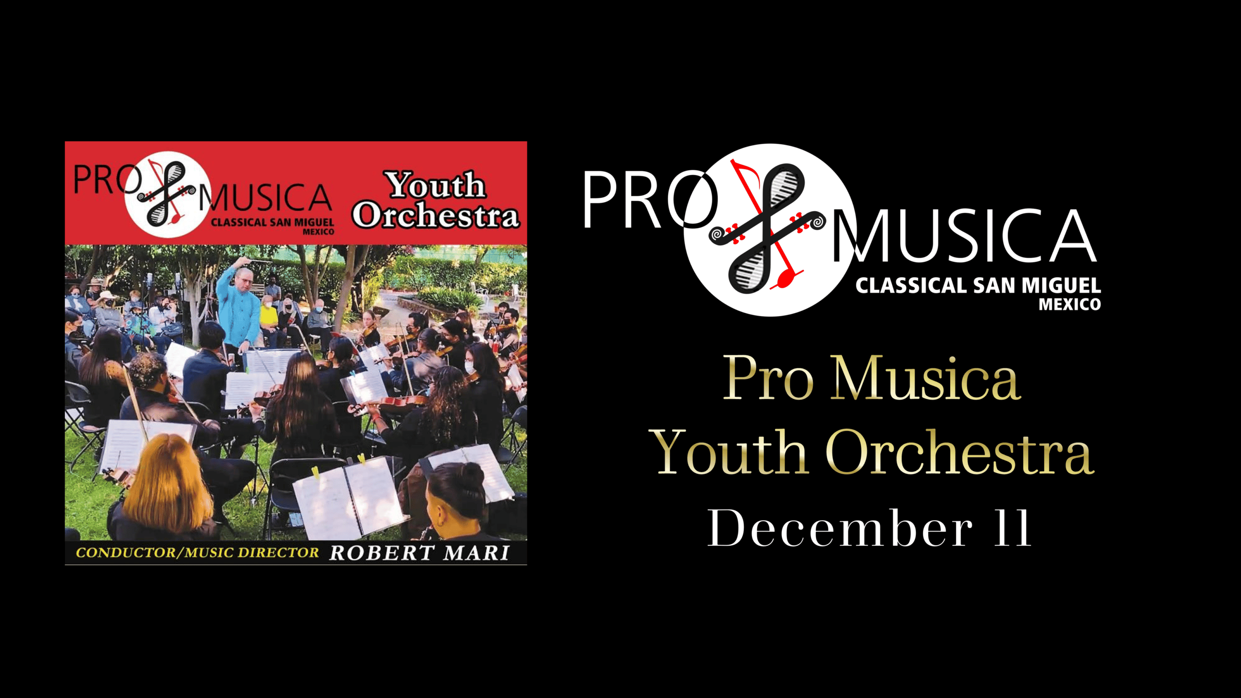 Pro Musica Presents: Pro Musica Youth Orchestra.